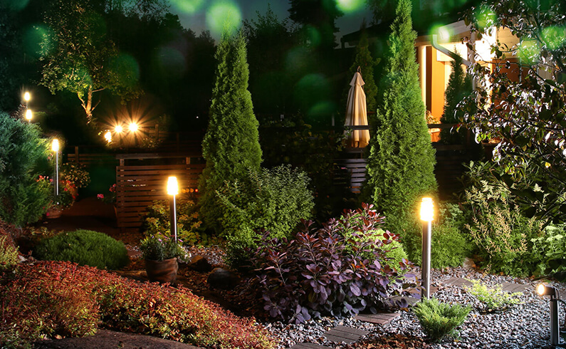 Cottage backyard with trees and lights