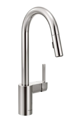 Moen Faucet