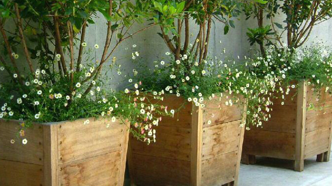 Gardening