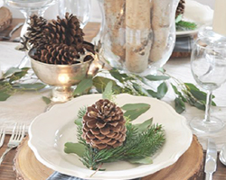 christmas themed plate set