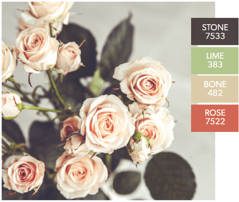 Roses