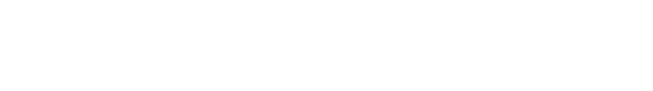 southbanks white Logo