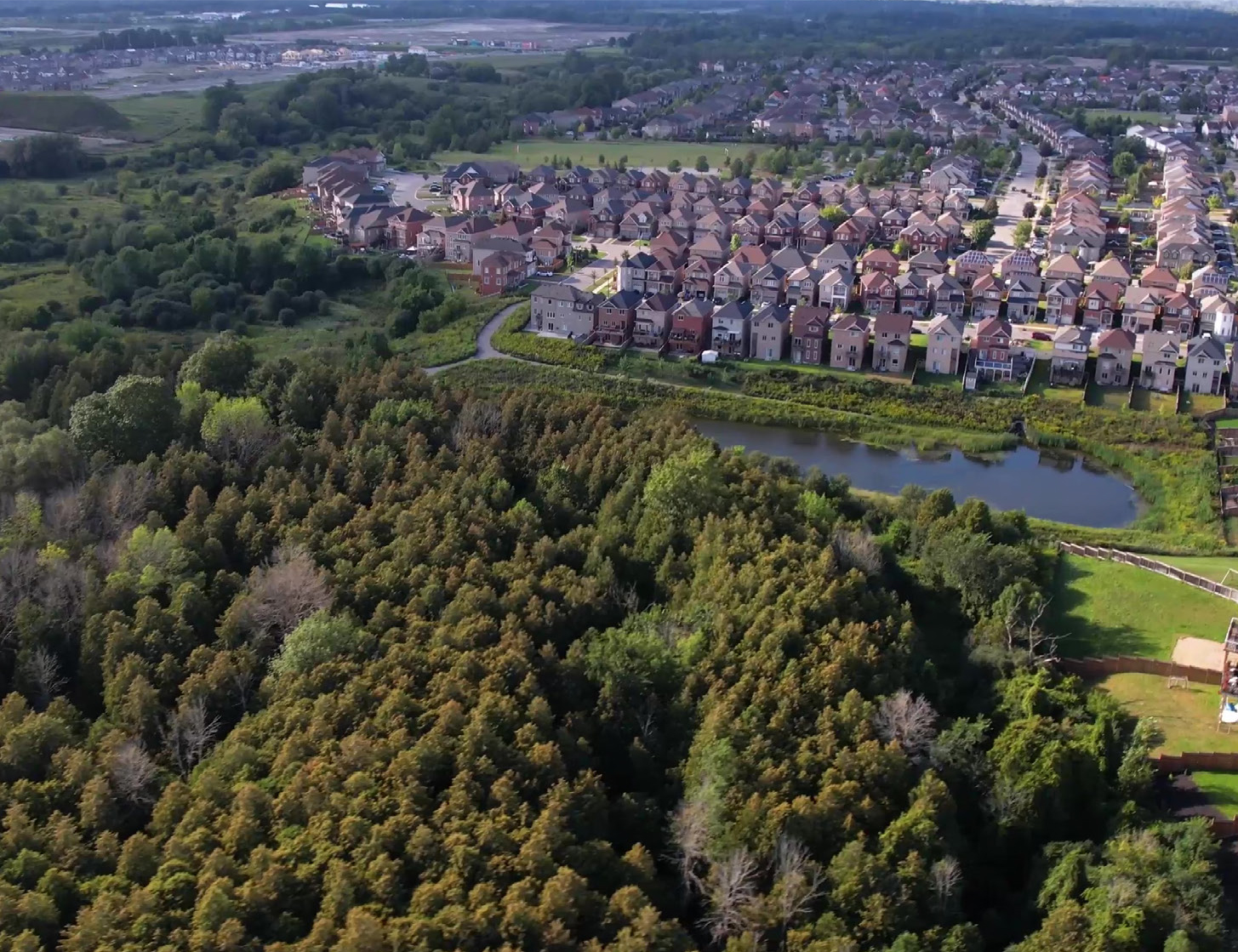 Angus Glen - Image 5
